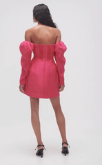 Baret Sleeved Mini Dress - Size 10